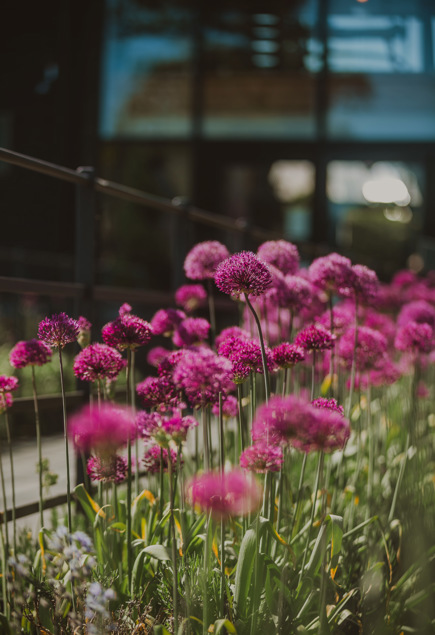 Rainbow Wedding Barns At Redcoats Wardette 63
