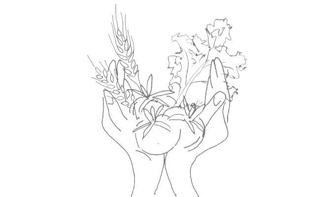 Vegetable Hands