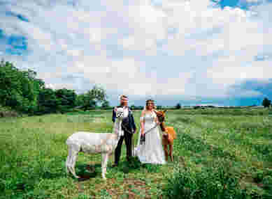 Barns At Redcoats Summer Wedding Abigail Steed Photography 4