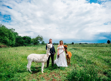 Barns At Redcoats Summer Wedding Abigail Steed Photography 4