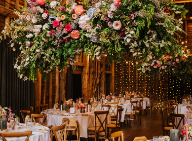 Binkynixonphotography LHWED475