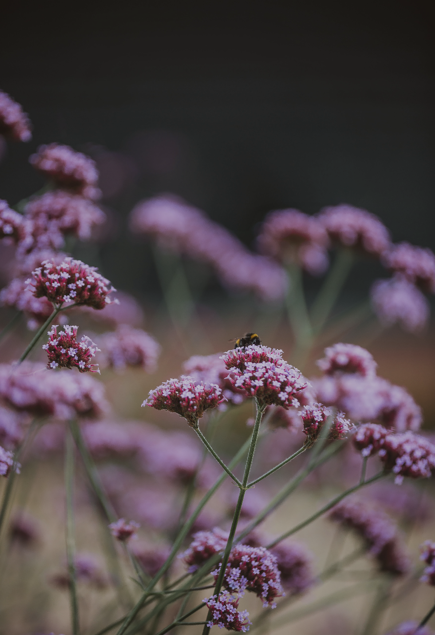 Screenshot 2025 07 21 At 14.22.54