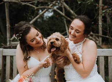 Farmhouse Weddings With Animals3